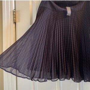 NWT- The Limited Skirt Size XS Pleated Navy with Red Polka Dot, Romantic Flouncy